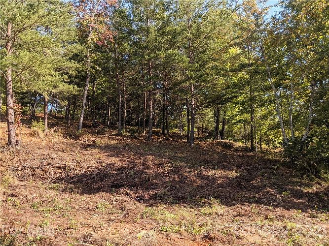1st image of 0 Willow Top Ln