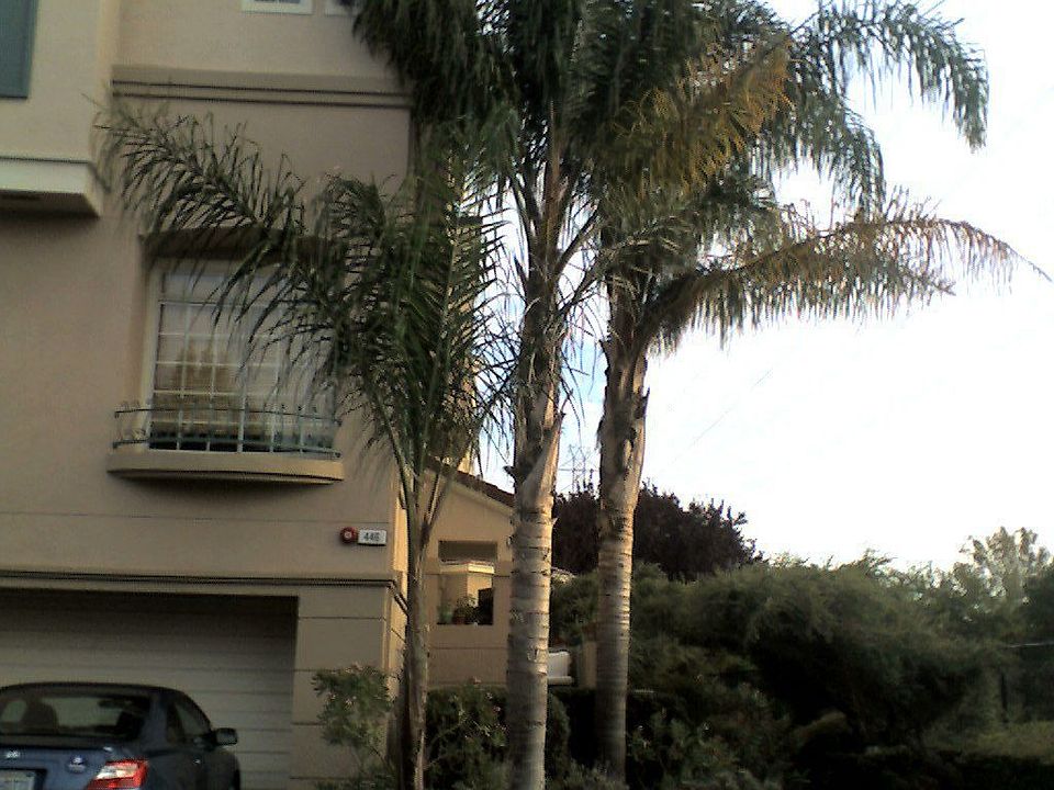 Best Location in the Villas
