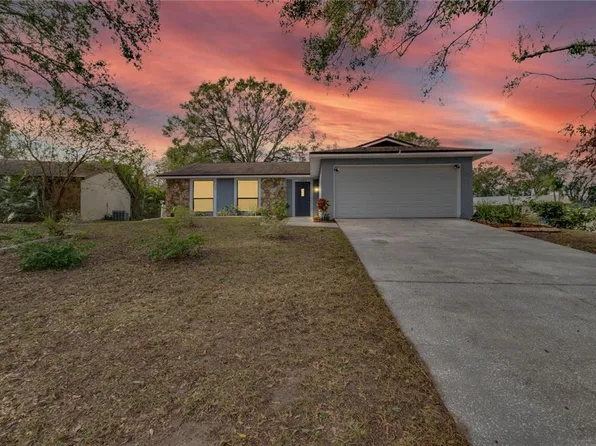 1404 Rustling Oaks Dr, Brandon, FL 33510