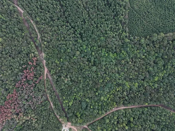Lane Branch Rd #11.74, Wedowee, AL 36278