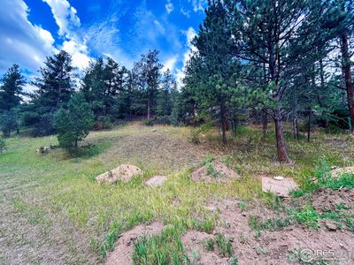 211 Streamside Dr, Glen Haven, CO, 80532