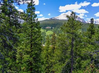 1013 Range Rd, Breckenridge, CO 80424