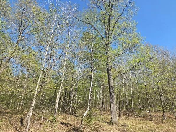 Skyline Dr, Bemidji, MN 56601