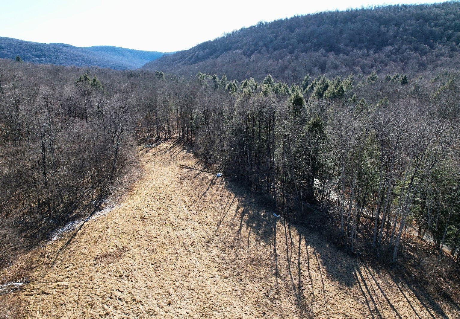 216 Claude Neer Rd, Long Eddy, NY 12760 Zillow