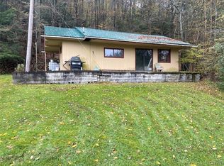 4229 Plum Bottom Rd, Belmont, NY 14813