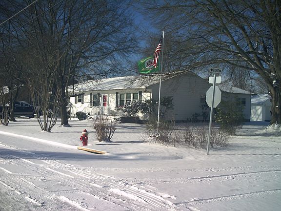 Winter at 390 Cross Street