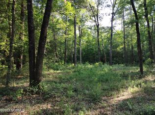 207 Hillcrest Cir, Whiteville, NC 28472
