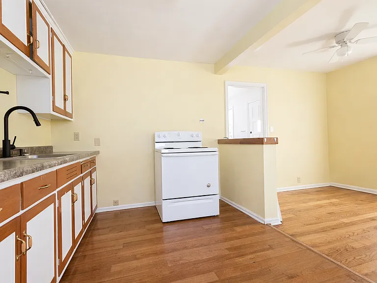 245 Island Ave — Photo 7