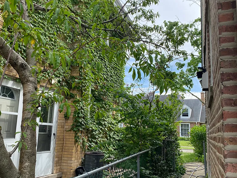 1426 Willow Ave — Photo 32