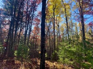 11470 Dale Ct, Minocqua, WI 54548