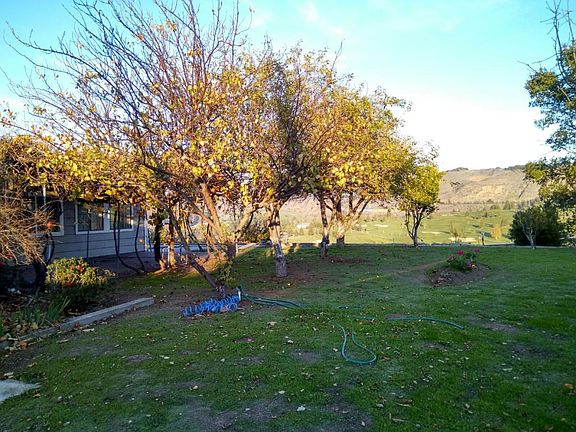 side yard
