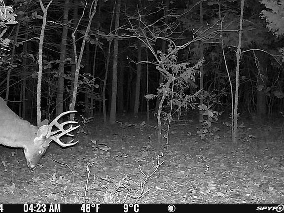 2nd image of 23609 State Hwy N