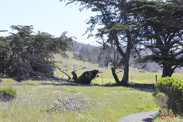 2nd image of 2200 Romney Dr
