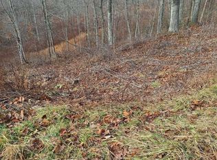 8914 Oak Hill Dr, Ashland, KY 41102