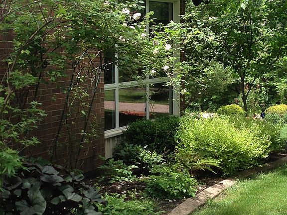3rd image of 7305 Tangleridge Dr