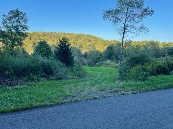 0 Indian Brook Rd, Greene, NY 13778