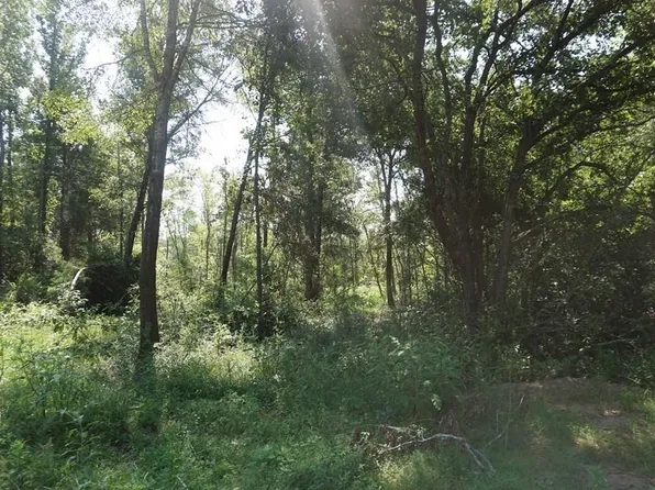 0 Fm 542, Oakwood, TX 75855