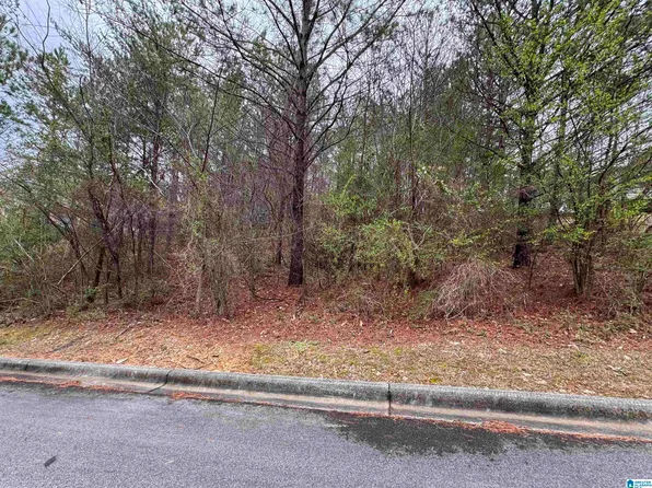 5807 Hatchers Run #26, Pinson, AL 35126