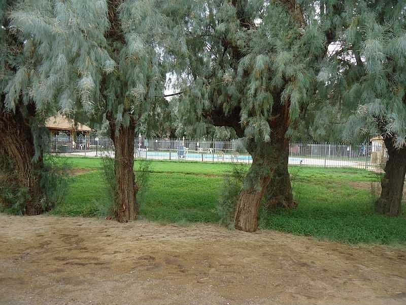 View of park