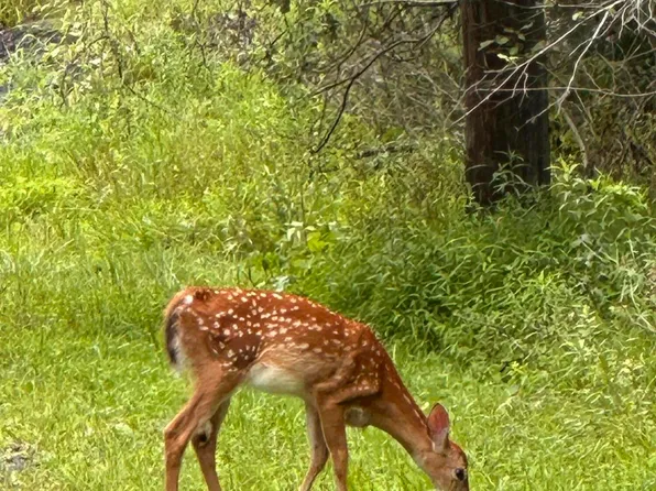 Lots 13 18 Park Ave #13, Pocono Summit, PA 18346