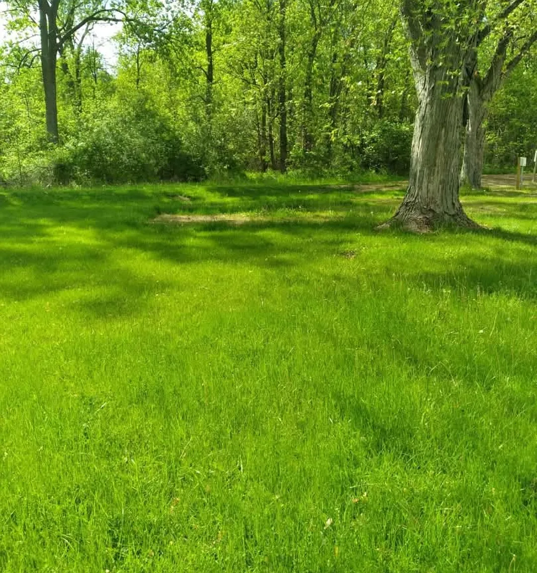 1 bed, 800 sqft, $950 — Photo 3
