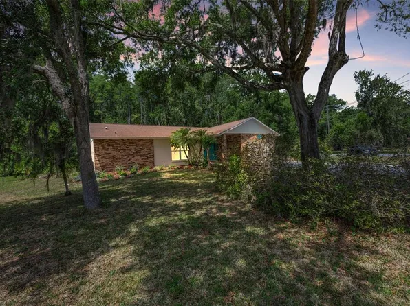 21823 Shamu Dr, Land O Lakes, FL 34639