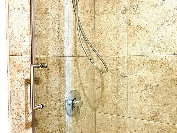 Main Bathroom shower/bathtub