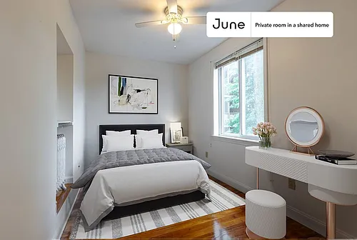 41 Egremont Rd #D Photo 1