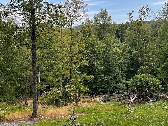 3rd image of Lots 20 & 21 Fawn Run Lane Sleepy Holw
