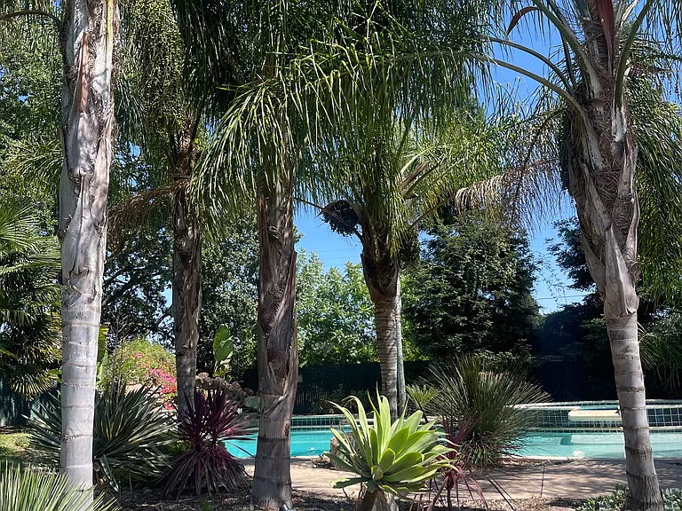11630 Foothill Ave — Photo 12