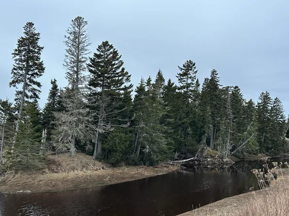 Lot 10-7 Island Street, Jonesport, ME 04649