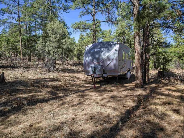 17990 Kings Road, Weston, CO 81082