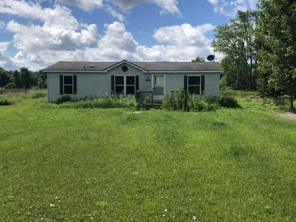 1176 E Wellman Line Rd, Yale, MI 48097
