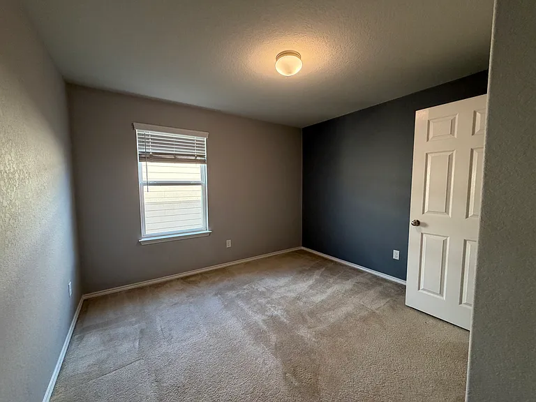 323 Mistflower — Photo 21