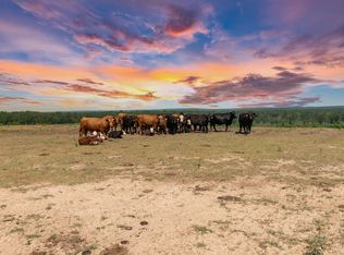 2632 McBride Rd, Patrick, SC 29584