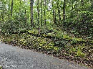 LOT 1006 N Shoal Rd HOUSE GAP, Sevierville, TN 37876