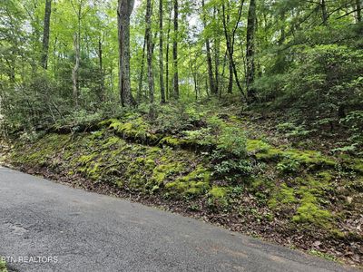 LOT 1006 N Shoal Rd House Gap, Sevierville, TN, 37876