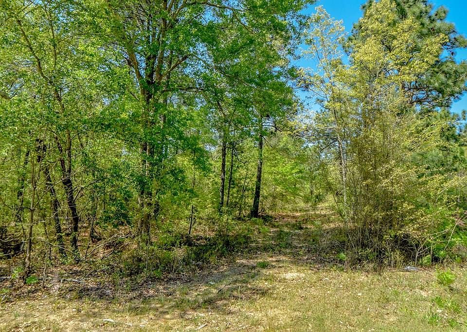 2nd image of 2516 Silver Bluff Rd