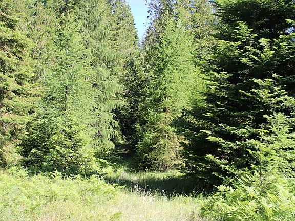 2nd image of 468X Ranch Rd