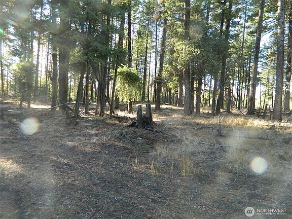 4th image of 0 TBD Summit Lake Road