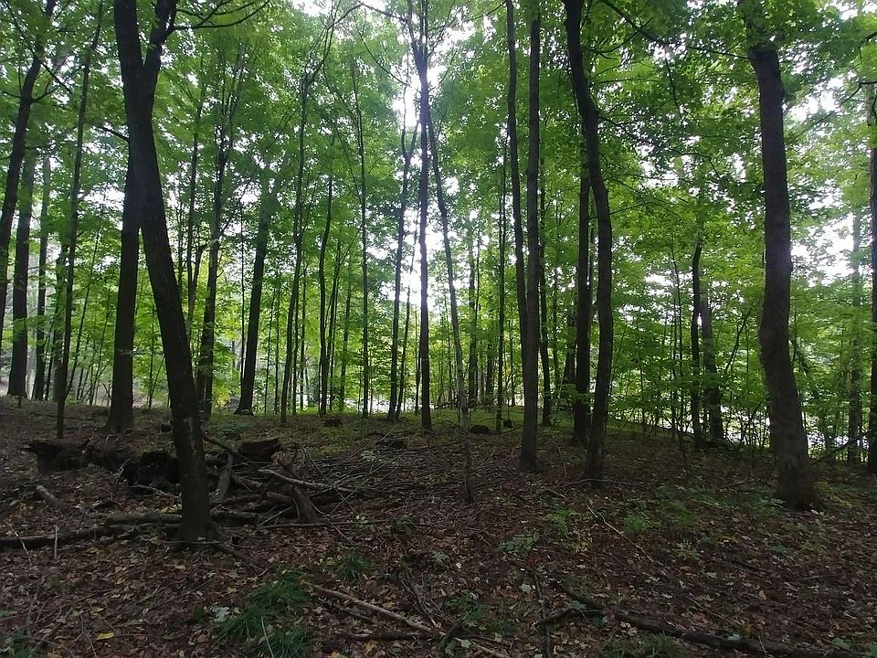 2nd image of W7569 County Rd S