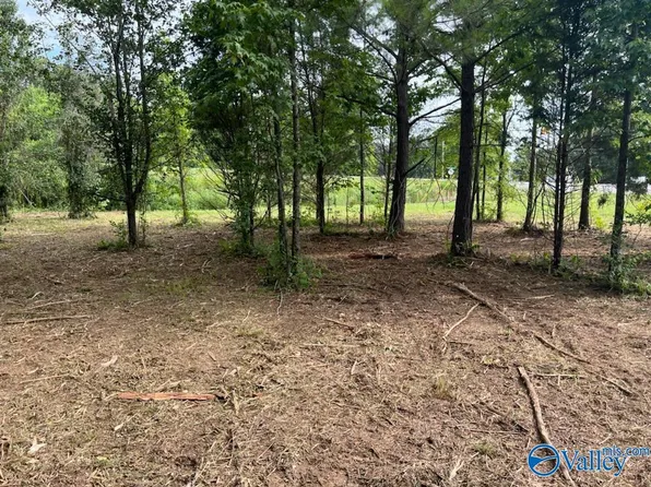 S Greenway Dr SW, Trinity, AL 35673