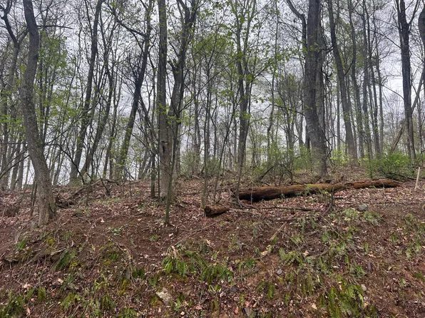 3 Waiteville Rd, Waiteville, WV 24984