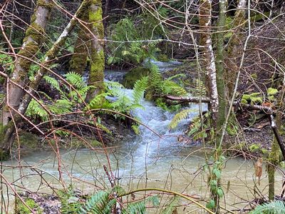 0 Lakeshore Drive, Willits, CA, 95490