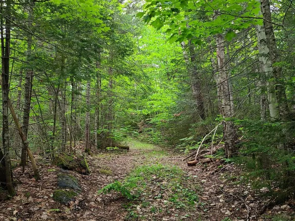 TBD Hinds Rd ((Plan01-Lot7.3), Wyman Twp, ME 04982