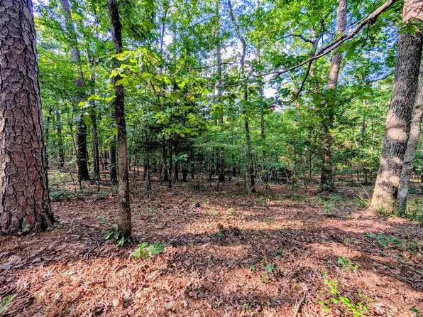198 Cathedral Pines Ln, Mena, AR 71953