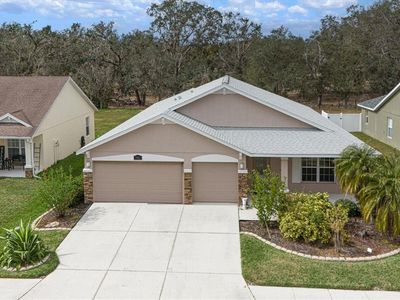 3911 Douglas Hill Pl, Parrish, FL, 34219