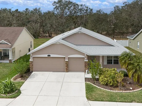 3911 Douglas Hill Pl, Parrish, FL 34219