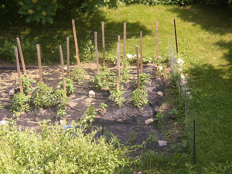 Large garden. Fenced