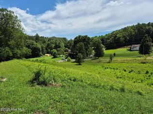 1 Henry Moss Lane, Marble, NC 28905